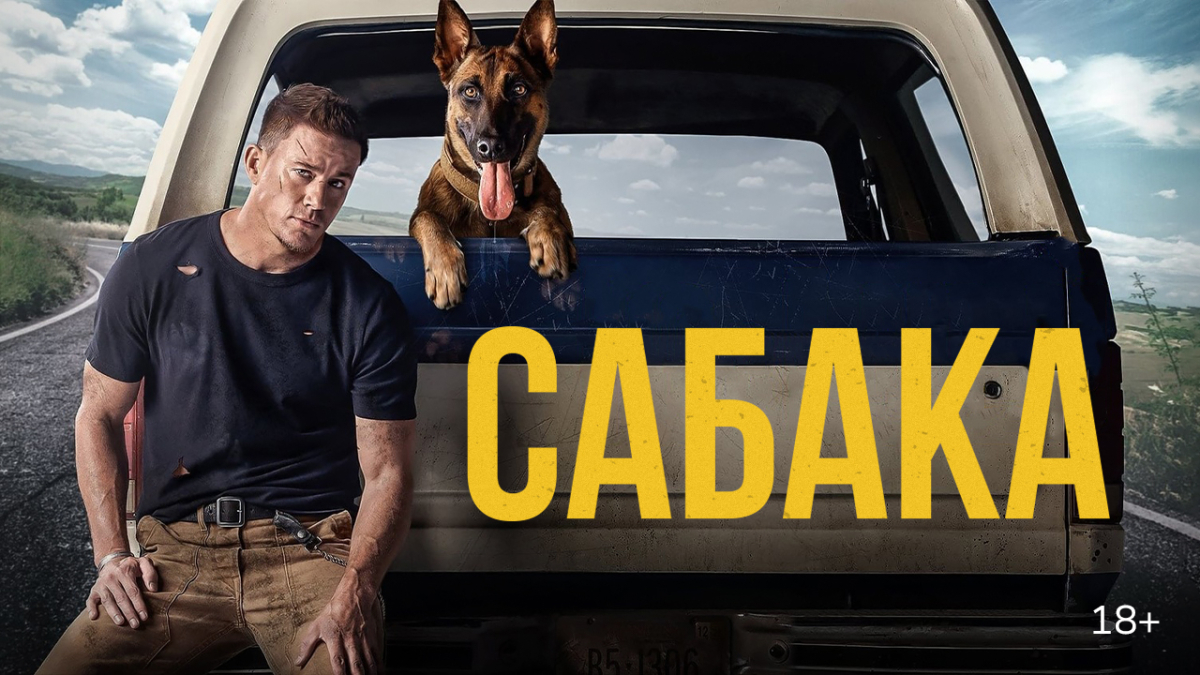 42_V1-825_Films_Nov25_Dog_1280x720px_Kat_v3 (3).jpg